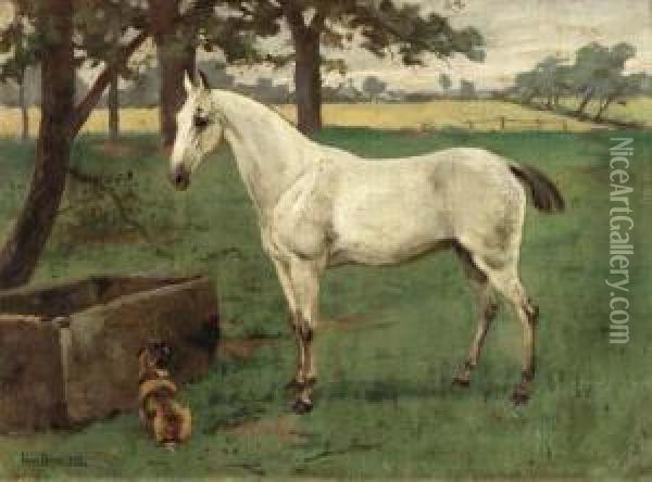A White Stallion At The Trough
Signed And Dated 'lionel Biach 1899' (lower Right) Oil Painting - Lionel Birch