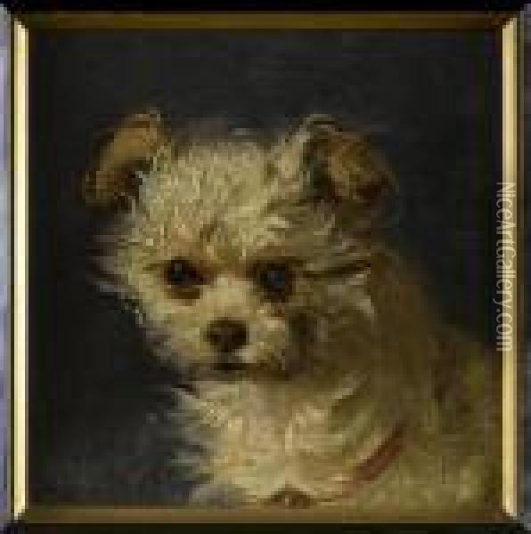 Study Of A Terrier's Head Oil Painting - Johann Matthias Ranftl