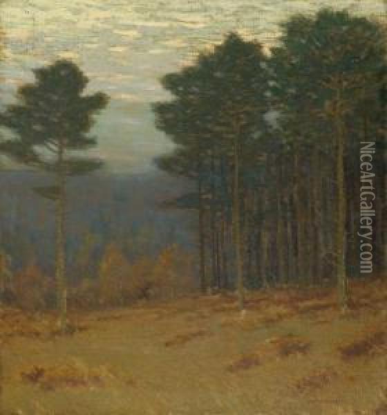 Tall Pines Oil Painting - Charles Warren Eaton
