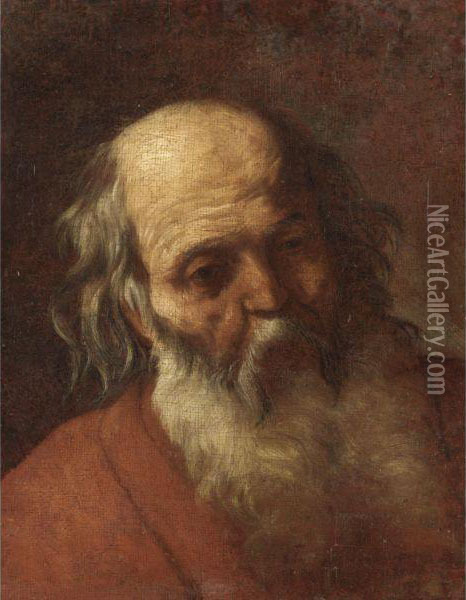 Testa Di Vecchio Oil Painting - Agostino Beltrano