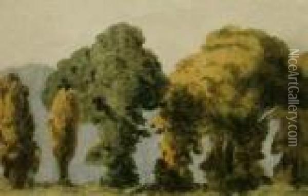 1842- Study Of Trees Oil Painting - John Varley