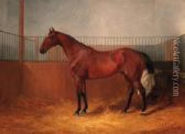 Blankey, A Bay Hunter In A Loosebox; And Harlequin, A Dapple Greyhunter In A Loosebox Oil Painting - William Joseph Shayer