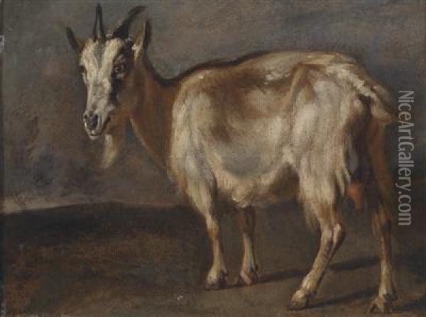 Study Of A Goat Oil Painting - Peeter Boel