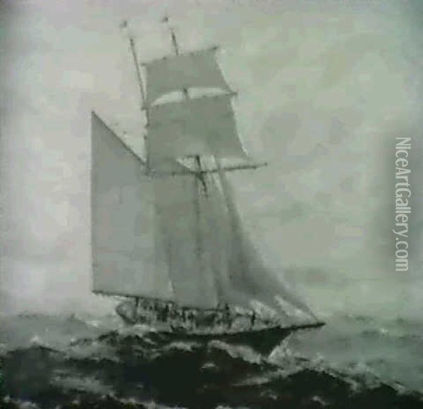 Full And By - Topsail Sch. Yacht Gression Oil Painting - Lars Thorsen