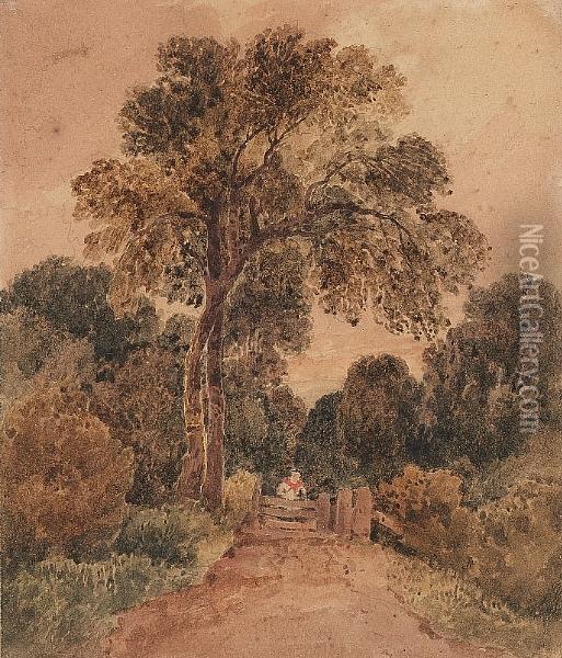 A Lane Near Dulwich Oil Painting - David I Cox