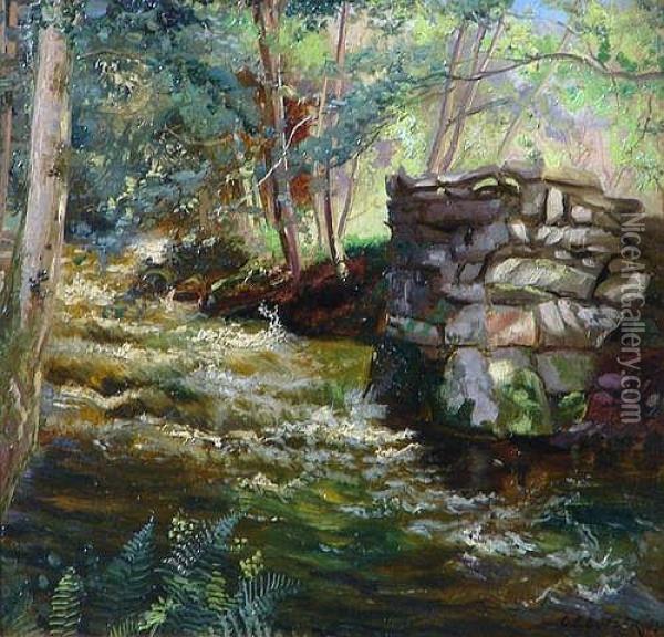 Falls On The Nant Col Llandeor Oil Painting - Charles Ernest Butler