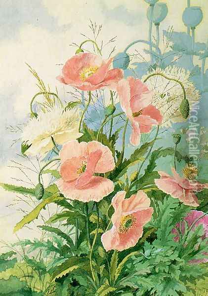 Poppies 1889 Oil Painting - Ellen Bowditch Thayer Fisher