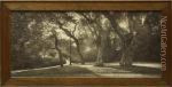 Tree-lined Park Oil Painting - Willard E. Worden
