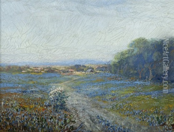Texas Landscape Oil Painting - Franz Strahalm