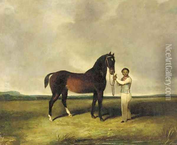 An Arab held by a groom Oil Painting - English School