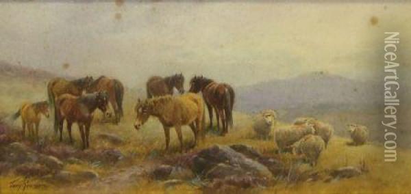 Ponies And Sheep On Dartmoor Oil Painting - Thomas, Tom Rowden