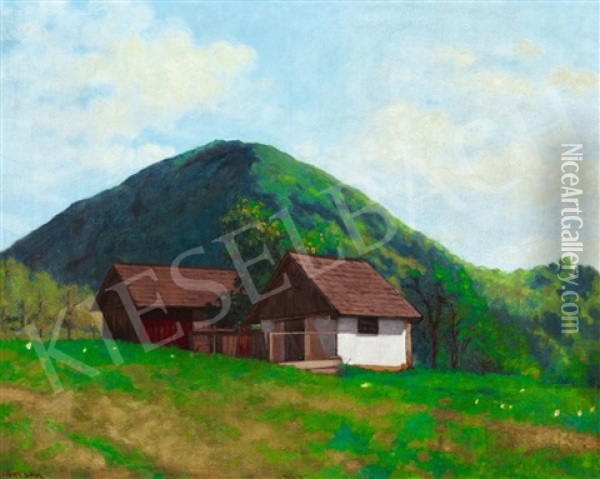 Nagybanya Landscape With Kereszthegy Oil Painting - Samu Boertsoek