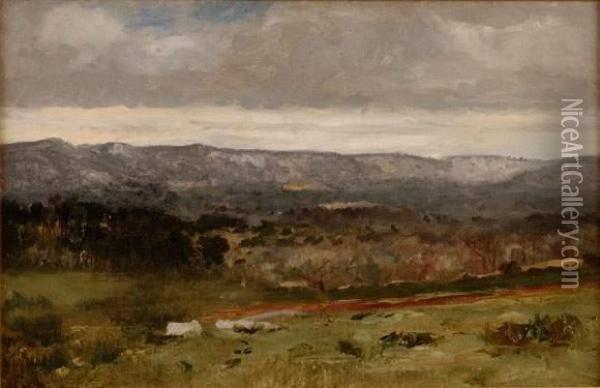 Le Chemin De Terre Sous Un Ciel Nuageux Oil Painting - Charles-Francois Daubigny