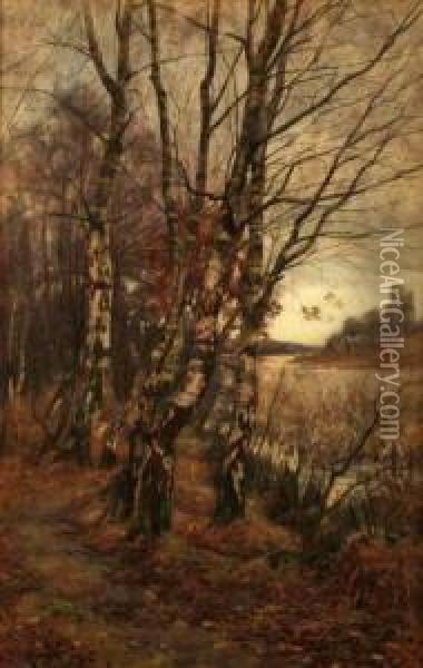 Birch Trees At Upper Pond Burnham Oil Painting - A. Lee Rogers