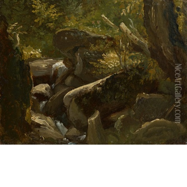 Forest Interior And Lake Landscape Study  (double-sided Work) Oil Painting - Thomas Cole