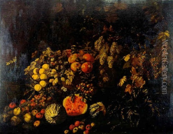 Fruit Hanging From Vines Oil Painting - Giovanni Battista Ruoppolo