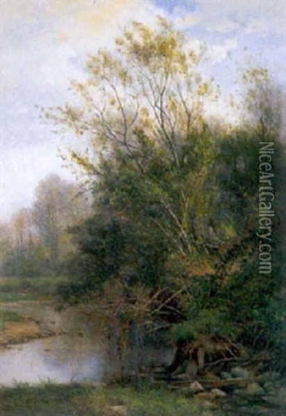 Bord Du Renaison A Riorges (loire) Oil Painting - Louis Noirot