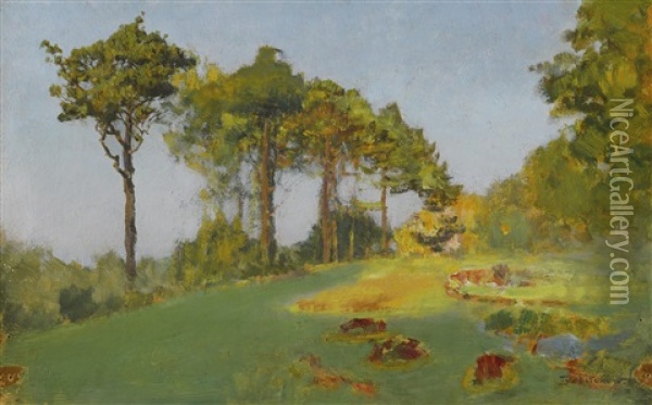 Summer At Jupille, Study Of Trees Oil Painting - Ivan Pavlovich Pokhitonov
