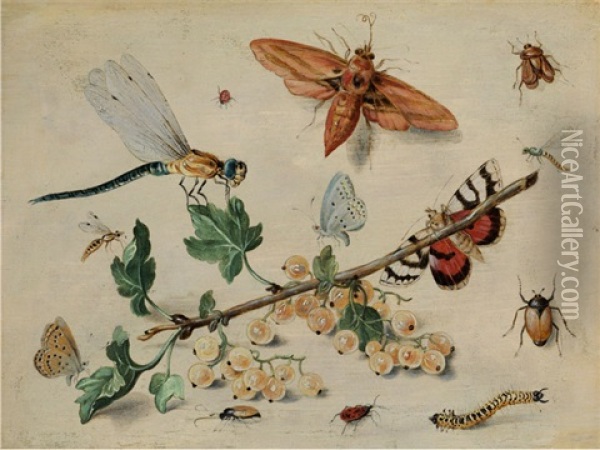 Weisse Johannisbeeren Und Insekten Auf Papierfarbenem Untergrund Oil Painting - Jan van Kessel the Elder