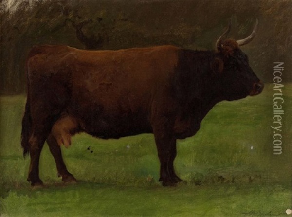 Etude D'une Vache De Salers (study) Oil Painting - Auguste (Francois Auguste) Bonheur
