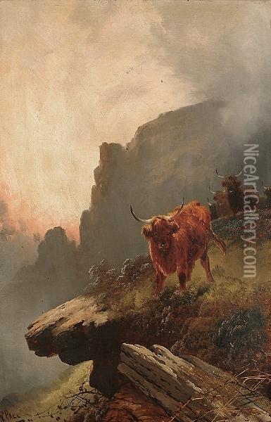 Highland Cattle On A Cliff Top Oil Painting - Harold Hall