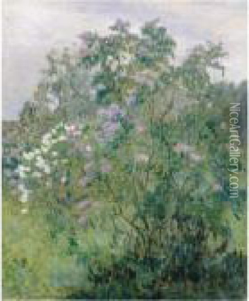 Lilac Bush Oil Painting - Nikolai Petrovich Bogdanov-Belsky