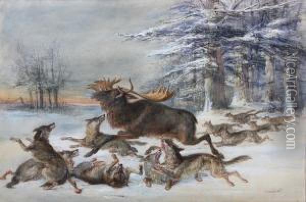 Elk Hounded By Wolves Oil Painting - Charles Henry Weigall