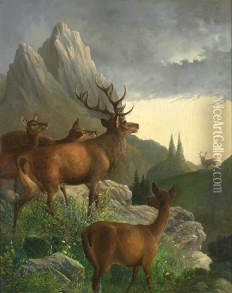 Rotwild Im Gebirge Oil Painting - Hubert Von Zwickle
