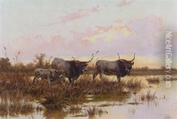 Bulls In A Water Meadow Oil Painting - Pietro Barucci