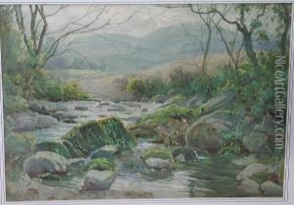 A Wooded Stream And Hillside Oil Painting - Tom Clough