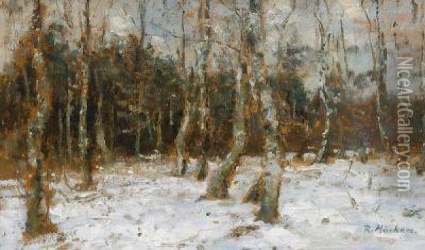 Verschneiter Birkenwald Oil Painting - Rudolf Hockner