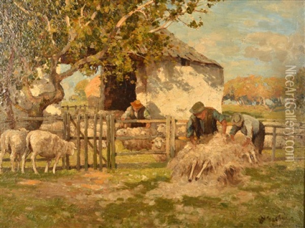 Sheep Shearing Oil Painting - William Macbride