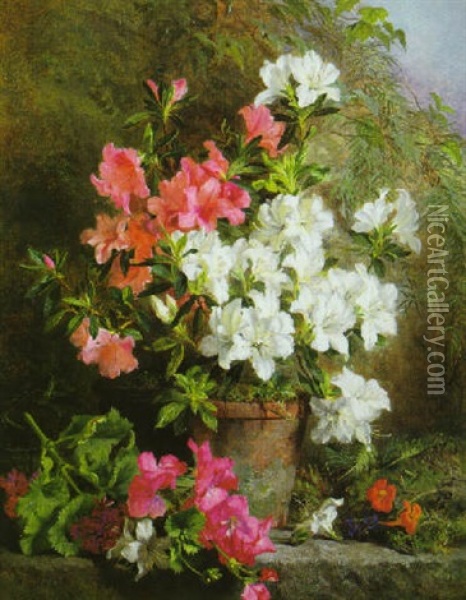 Still Life With Pink And White Azaleas Oil Painting - Martha Darley Mutrie