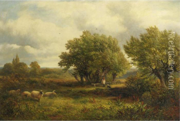 Sheep At Pasture Oil Painting - George Turner