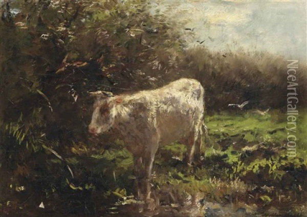 A Cow Near The Waterfront Oil Painting - Willem Maris