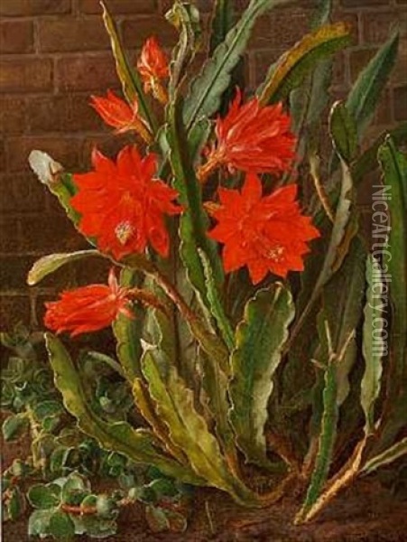 Blomstrende Rod Kaktus Oil Painting - Christian Juel Moellback