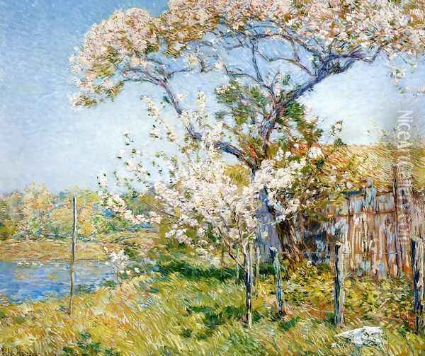 Apple Trees in Bloom, Old Lyme Oil Painting - Frederick Childe Hassam