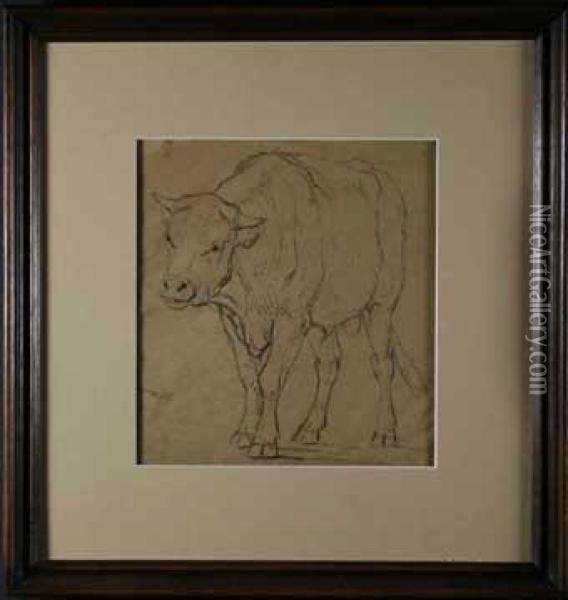 Depicting Cattle Studies Oil Painting - Eugene Joseph Verboeckhoven