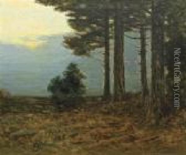 Sunset Pines Oil Painting - Charles Warren Eaton