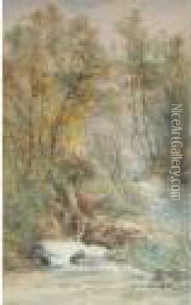 A Waterfall In A Wooded Landscape Oil Painting - William Widgery
