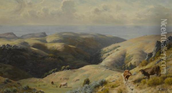 Cattle Grazing In Marin County Oil Painting - Thaddeus Welch