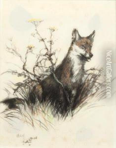 Fox In The Undergrowth Oil Painting - Cecil Charles Aldin