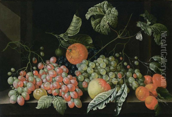 A Still Life With Grapes, A Tangerine, An Apple, Prunes And Apricots, All On A Stone Legde Oil Painting - Cornelis De Bryer