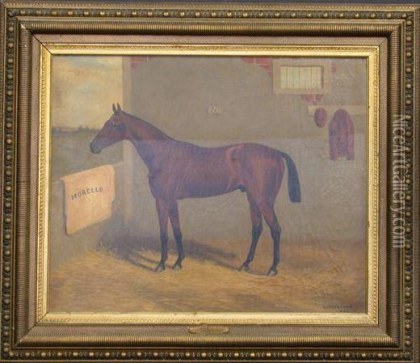The Racehorse 'morello' In A Stable Oil Painting - Harry Lyman