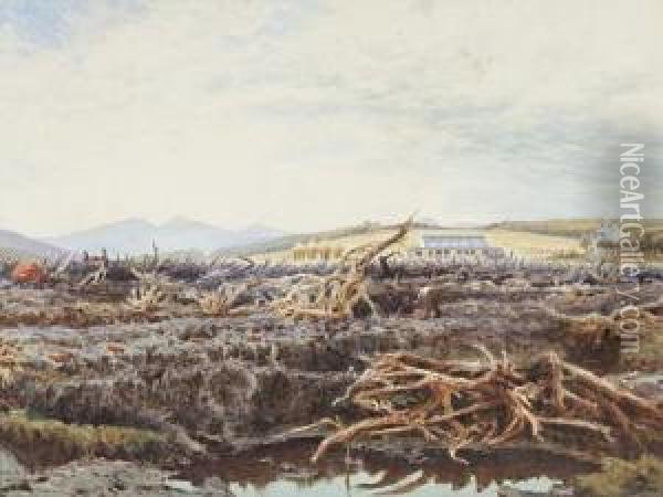 Duke Of Sutherland's Moorland Reclamation, Sutherland Oil Painting - John O'Connor