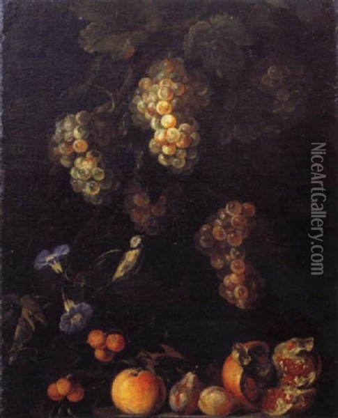 Nature Morte De Raisins, Grenades, Fraises Oil Painting - Michelangelo Cerquozzi
