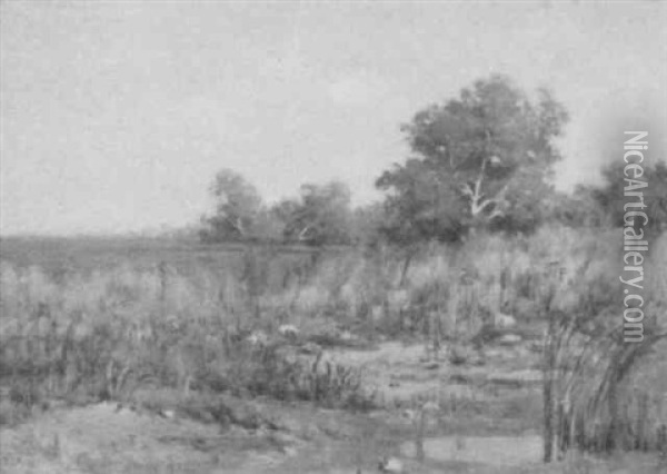 Marsh Scene Oil Painting - Peter Edward Rudell