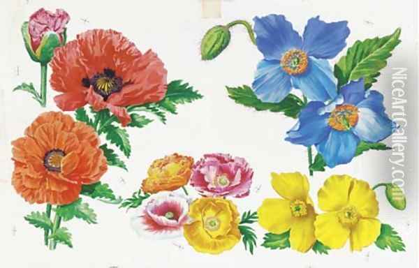 Flowers 3 Oil Painting - English School