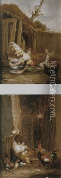 Gallina En El Corral Oil Painting - Claude Guilleminet