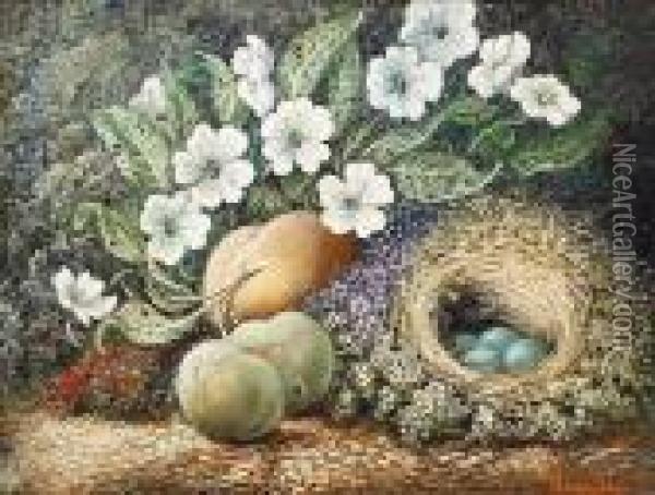 A Still Life Of Fruit, Wild Flowers And A Bird's Nest On A Mossy Bank Oil Painting - Oliver Clare